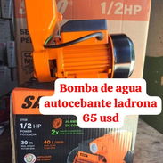 Bomba de agua autocebante ladrona saco - Img 57278145