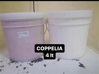 Vendo helados tanto de Coppelia como Nestlé - Img 65720708