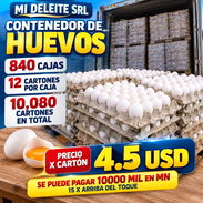 🚨🥚 BUSCAMOS COMPRADORES DE VOLUMEN 🥚🚨  Si tienes negocio, eres revendedor o manejas distribución - Img 57810926