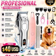 🐶🐱✨ ¡PELUQUERÍA DE MASCOTAS EN CASA! ✨🐱🐶 ¿Quieres que tu peludito luzca limpio, bonito y bien arregladito? 🥰✂️🐾 Te - Img 57580456