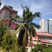 🏠¡Descubre nuestra casa de renta con precios económicos en el Vedado con una ubicación privilegiada! - Img 51475958