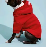 !!! ropa para mascota traida de shein !!!✨ - Img 50102350