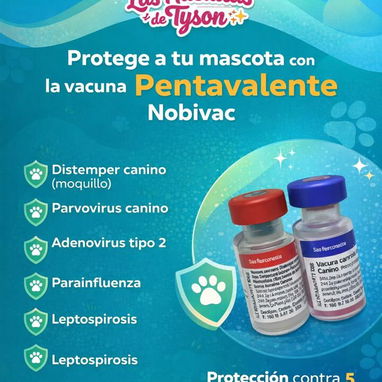 veterinaria a domicilio - Img 122676012