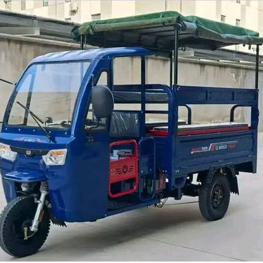 Triciclo eléctrico Vedga C 800 - 4/4