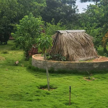 Finca de lujo en la lisa ( Arroyo Arenas ) - Img 119886595