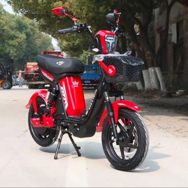 Bicimoto JMD (eh) - 2/2