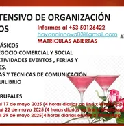 Curso Taller intensivo de Organización de Eventos - Img 49656395