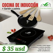 Fogón de inducción - Img 56641011