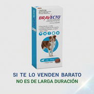 Bravecto - Img 56419270