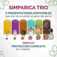 Simparica Trío para todos los pesos - Img 52110832