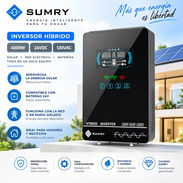 Inversor Sumry 4000w - Batería 25v x 100 - Paneles Bifaciales - Ecoflow - Bluetti - Plantas de Gas - Img 57507813