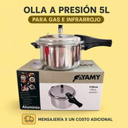OLLA A PRESIÓN 5L PARA GAS E INFRARROJO - Img 57513408