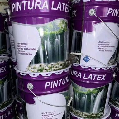 Pintura - Img 125160019