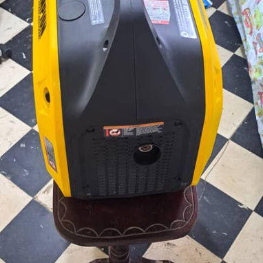Planta Dual Fuel Champion 2500W Inverter - 3/5