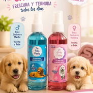 Tienda para mascotas - Img 57718973