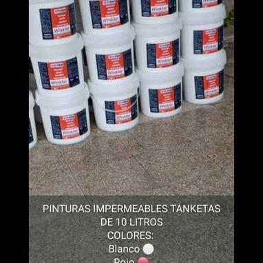 Todo en pintura - Img 121798987