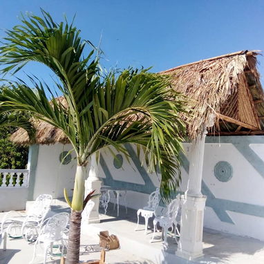 Renta casa con piscina grande a 7 cuadras playa de Guanabo  😎 4 habitaciones climatizadas,  +53 52463651 x WhatsApp, R - Img 109268431