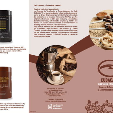 Diseño y Producción de Logos, Kit de Marca, Carteles Publicitarios, Dípticos, Trípticos, Flyer, etc... +53 55925721 - 8/10