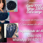 Trenzas y definiciones - Img 55234705