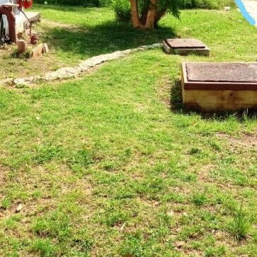 Playa Miramar la Puntilla te está esperando! 🏖️ Descripción del apartamento : En la Habana Cuba. - 8/10