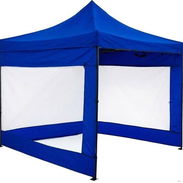 Carpas - Img 55372561