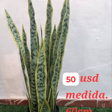 Plantas artificiales - 6/8