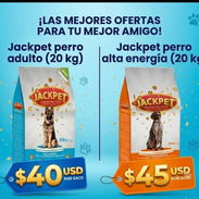 Pienso para perros, comida para perros - Img 54311752