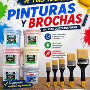Ofertas de pinturas de vinilo e impermeable importadas - Img 55320923
