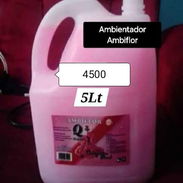 Productos de limpieza - Img 56368419