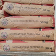 Harina Importada - Precio Especial (kinetica) - Img 56847591
