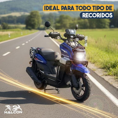 MOTO COMBUSTIÓN DAKAR PRO 150CC - Img 123472133