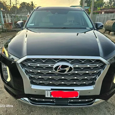 Vendo o negocio Hyundai Palisades 2020 caligrafhy - Img 111143589