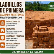 Ladrillos de primera - Img 56256686