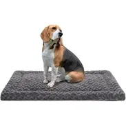 Cama Rectangular para Mascotas - Img 57091085