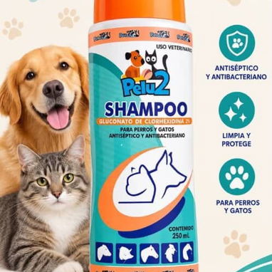 Tienda para mascotas - 4/10