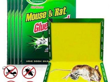Trampas de pega pega para ratones - Img 67368471