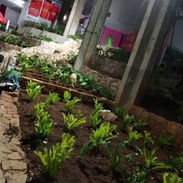Servicio de jardinería - Img 54971777