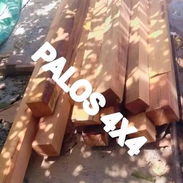 PALOS 4X4 - Img 58033445