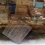 Vendo 6 jaulas para conejos - Img 45880253