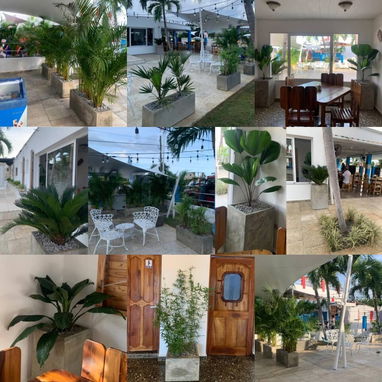 CREAMOS Y DISEÑAMOS JARDINES CON CÉSPED, PLANTAS, PIEDRAS DECORATIVAS, MACETAS Y TODO LO QUE USTED DESEE. JARDINEROS - Img 106929840