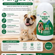 Spray antimicotico y antibacteriano para mascotas - Img 56426214