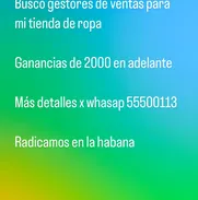 Doy en empleo como gestor de venta de mi tienda - Img 49329581