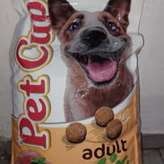 Pienso de cachorros y perros adultos - Img 55794645
