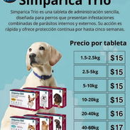 Simparica Trío todos los pesos - Img 55215962