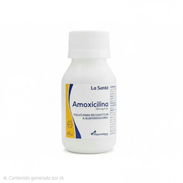 Amoxicilina en suspension - Img 58204516