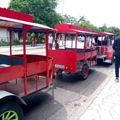 Venta d tren listo para trabajar - 2/3