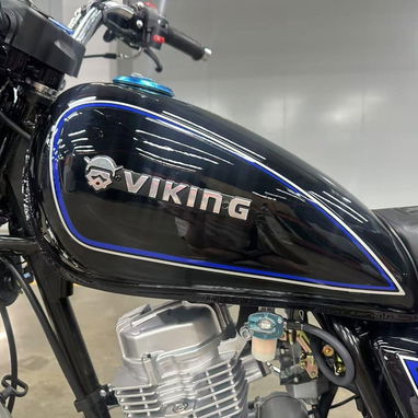 Moto de combustión VIKING - Img 121227306