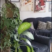 Vendo casa en 10 de octubre , lawton - Img 55873154