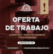 Buscamos Carpinteros‼️ - Img 48885587