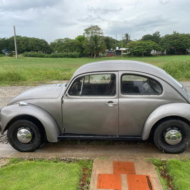 volkswagen 1959 - Img 104918782